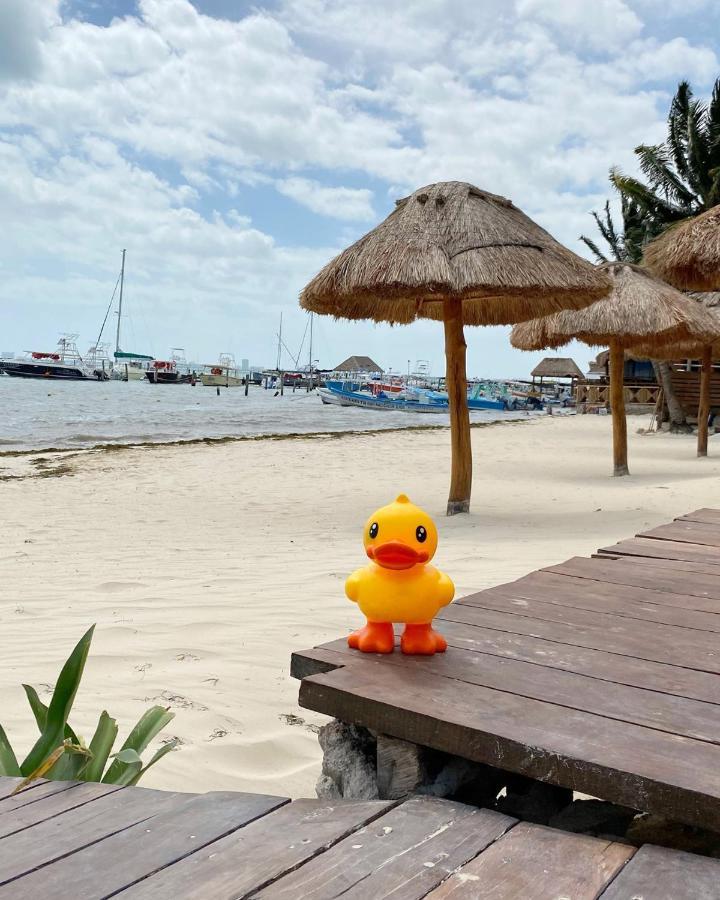 فندق Lucky Duck Pj كانكون المظهر الخارجي الصورة